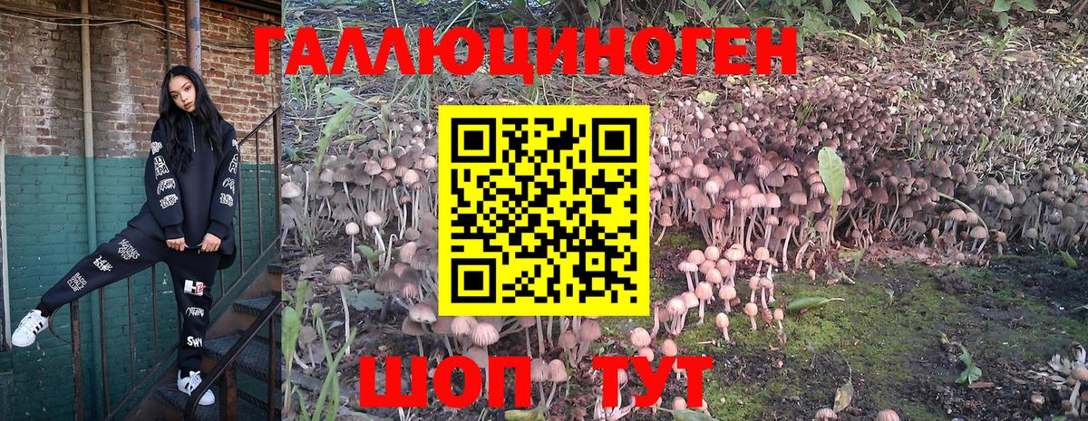 Евпатория  Псилоцибиновые грибы MAGIC MUSHROOMS  Вход с VPN 